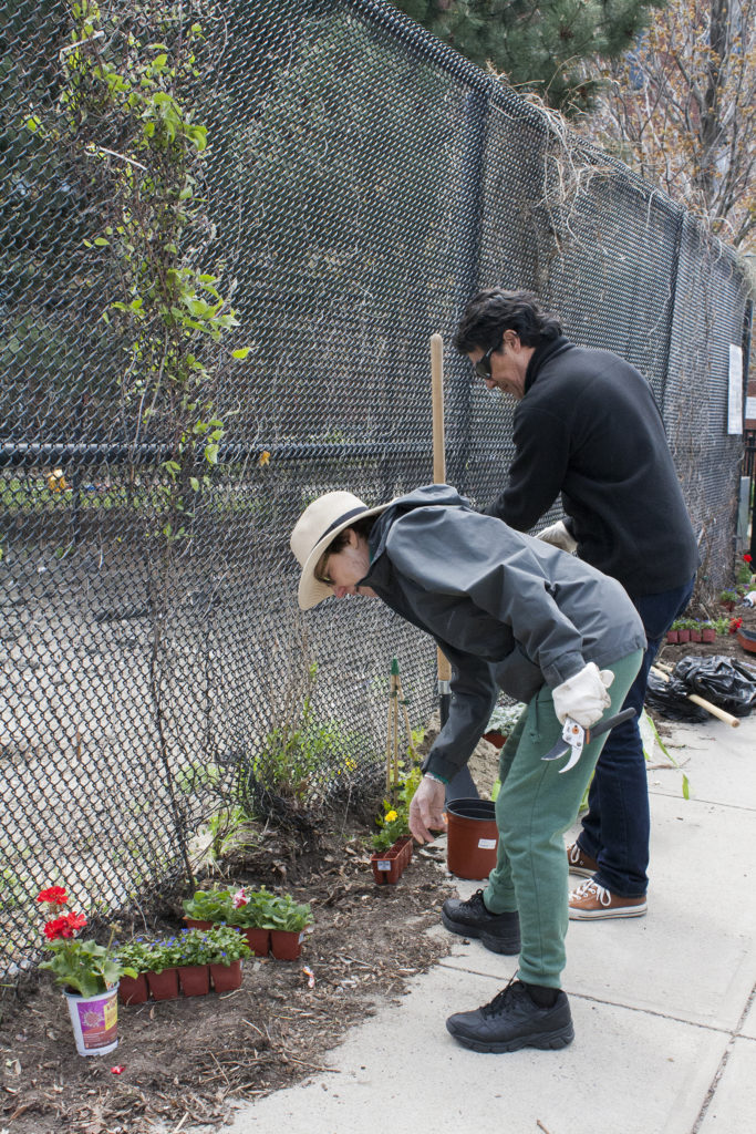 Cameron Sawzin of the Fort Point Neighborhood Association (left) and Lawler Kang of Rue La La plan flowers to plant along the fence on A Street on Friday, April 29, 2016. (Photo by Susan Doucet)