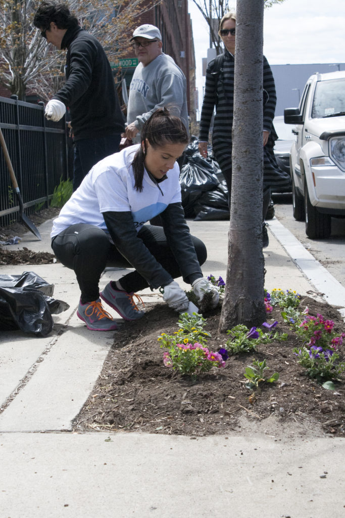 Amanda Burley of Equity Residential plants flowers on A Street as part of Boston Shines on Friday, April 29, 2016. (Photo by Susan Doucet)