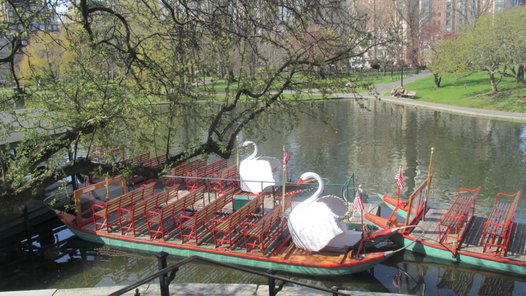 No, the Swan Boats aren’t in South Boston, but their appearance is a certain sign of spring.