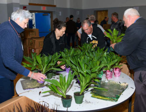 Growing Kindness: Volunteers Prepare Mother’s Day Plants for Seniors