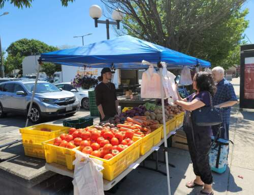 South Boston Farmers Market Opens June 5