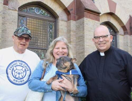 Blessing of the animals