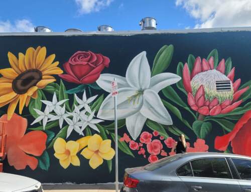 Floral Mural Transforms Andrew Square Wall into a Celebration of Community