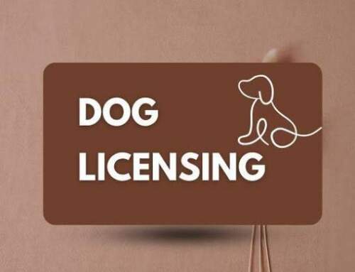 Councilor Flynn to Chair a Hearing On Animal Control Enforcement, Leash Law Compliance & Dog Licensing